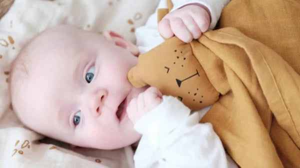 Doudous Bébé - Les Petits