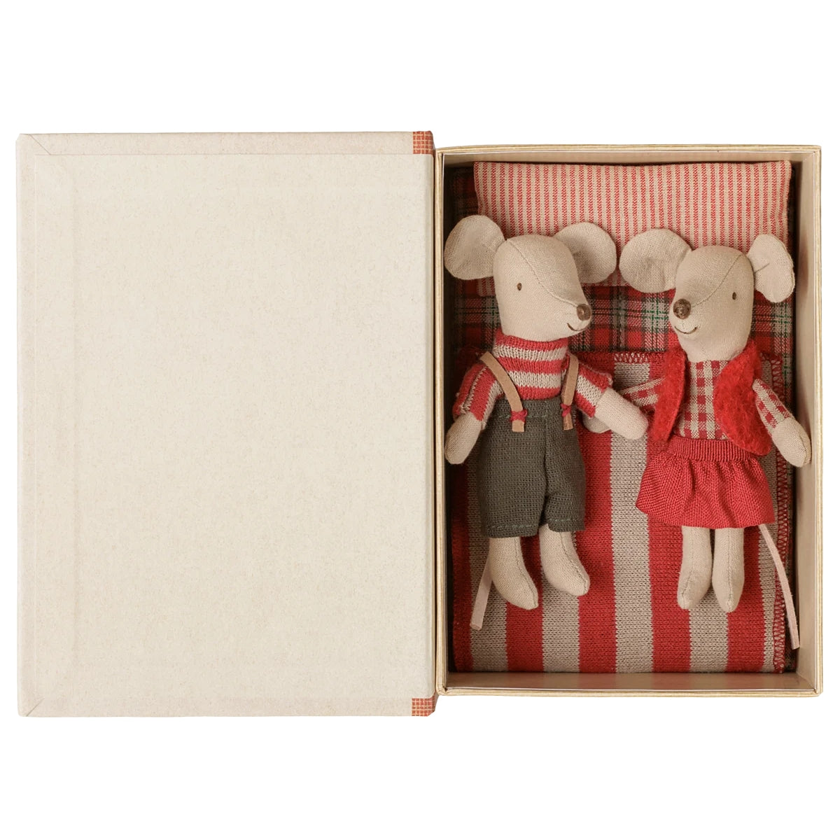 Jumeaux Souris De Noël, Petite Sœur Et Petit Frère Dans Leur Coffret Livre