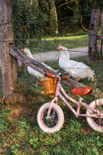 BANWOOD - Draisienne Banwood First Go Rose Poudré