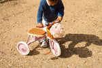 BANWOOD - Tricycle Banwood Rose Poudré
