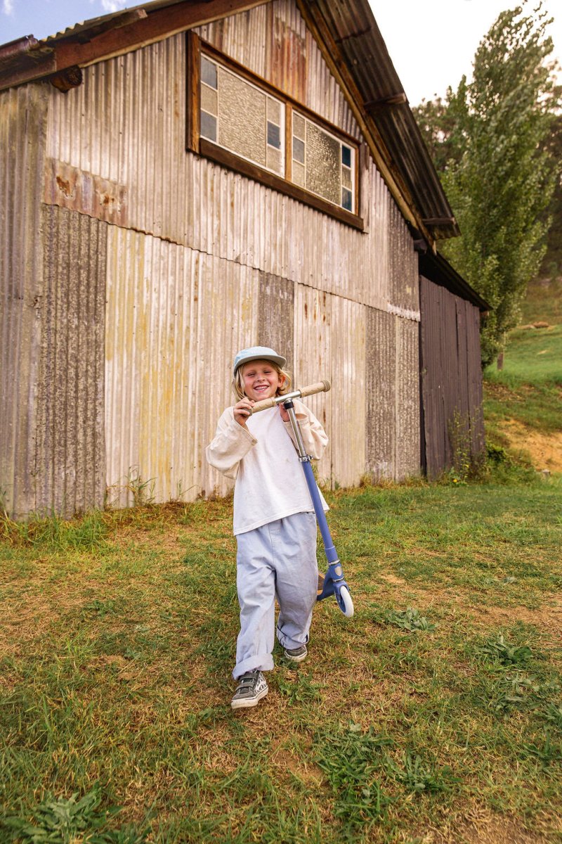 BANWOOD - Trottinette Enfant Maxi Bleue