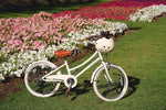 BANWOOD - Vélo Enfant Classic Banwood 20" - Vintage Rose