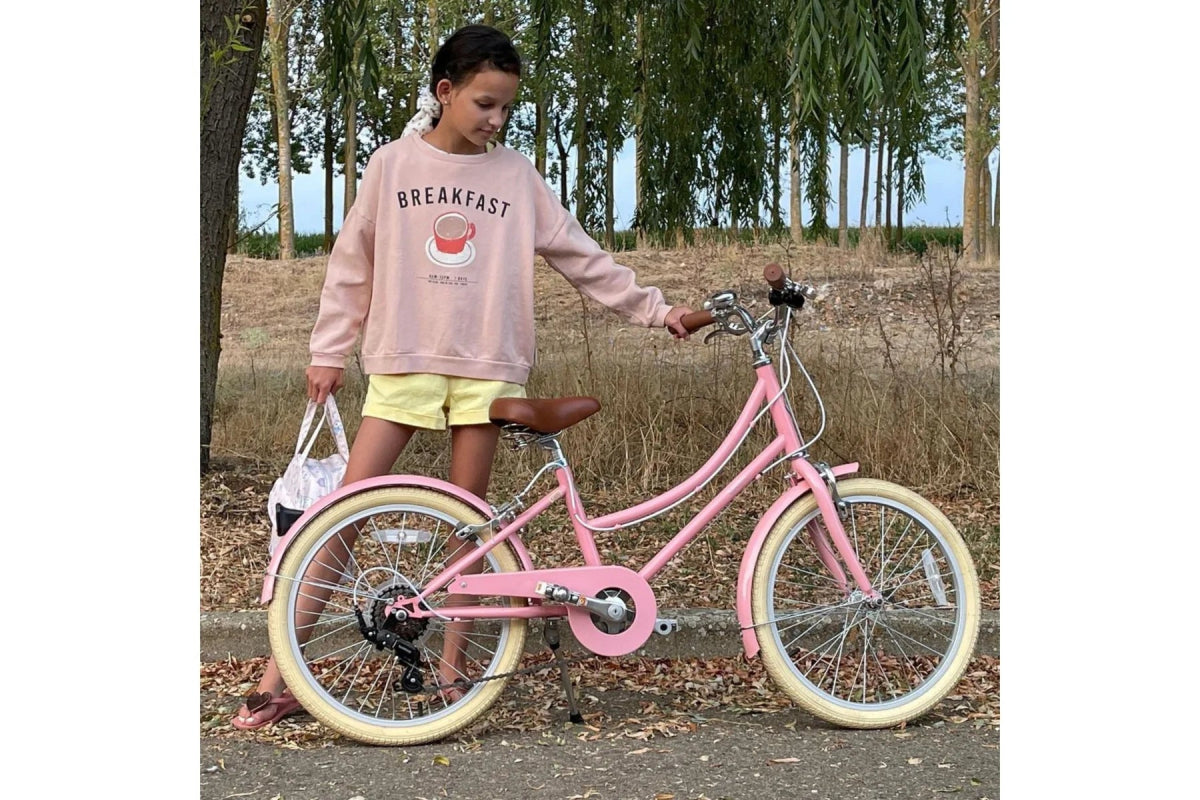 BOBBIN BIKES - Vélo Enfant Gingersnap 20" - Rose