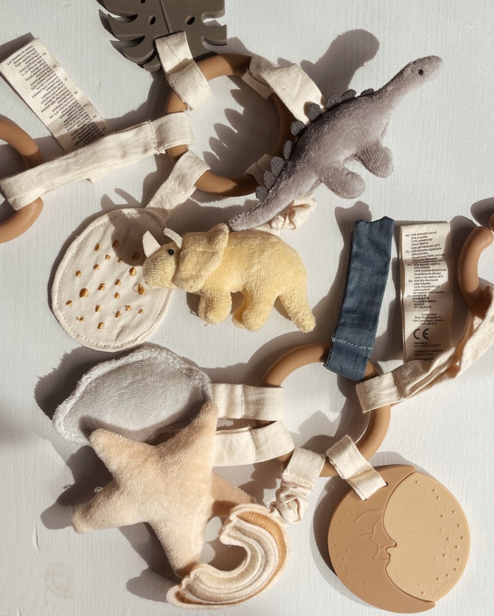 KONGES SLØJD - Anneau D'activité Dino - Multi