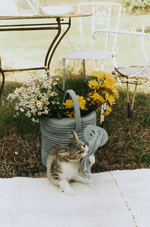 LORENA CANALS - Panier de Rangement Pour Enfants - Arrosoir - Bleu Vintage