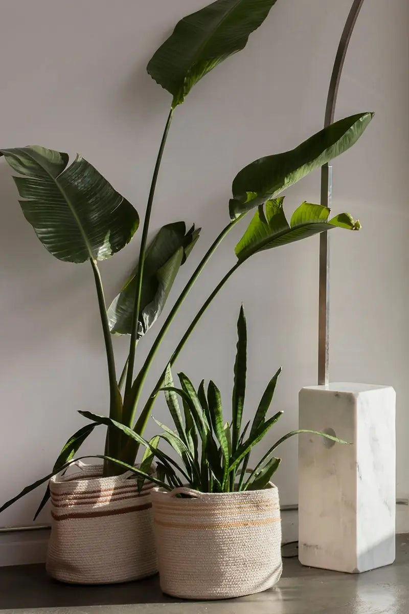 LORENA CANALS - Panier de Rangement Twin Toffee