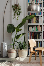 LORENA CANALS - Panier de Rangement Twin Toffee