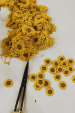 LORENA CANALS - Tapis De Jeu Lavable - Farm Fields 120 x 170 Cm