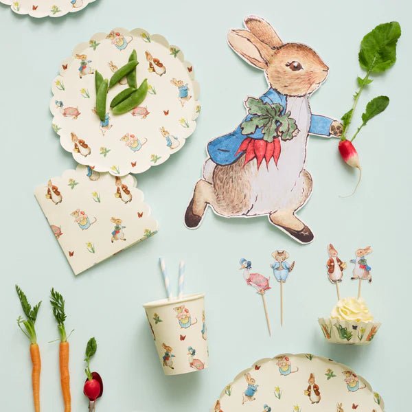 MERI MERI - 12 Assiettes En Forme De Pierre Le Lapin