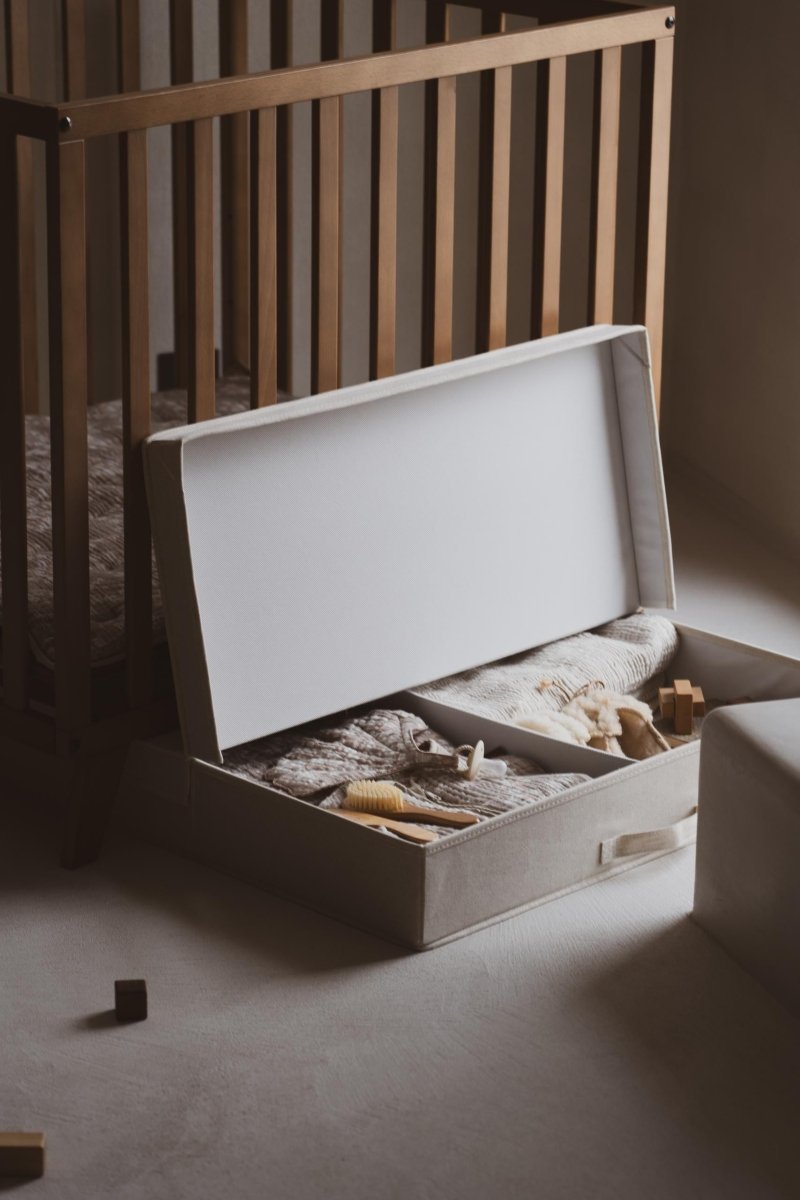 QUAX - Parc FLOW - Pierre