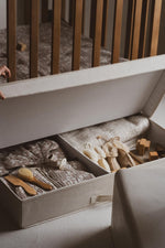 QUAX - Parc FLOW - Pierre