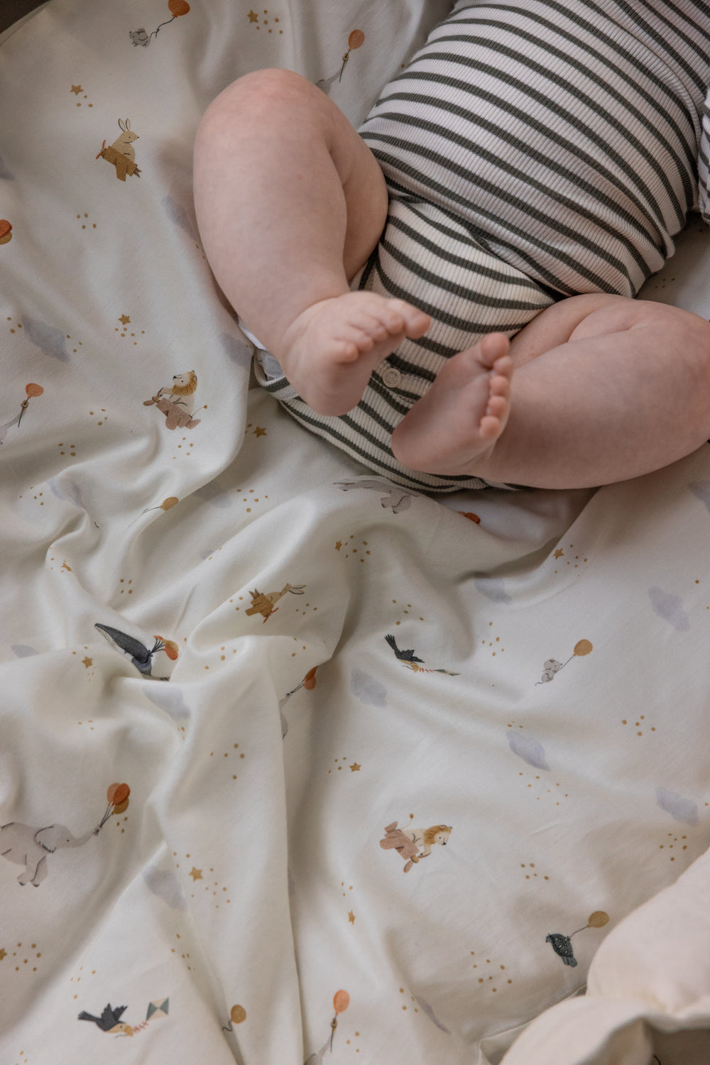 sebra-lifestyle-baby