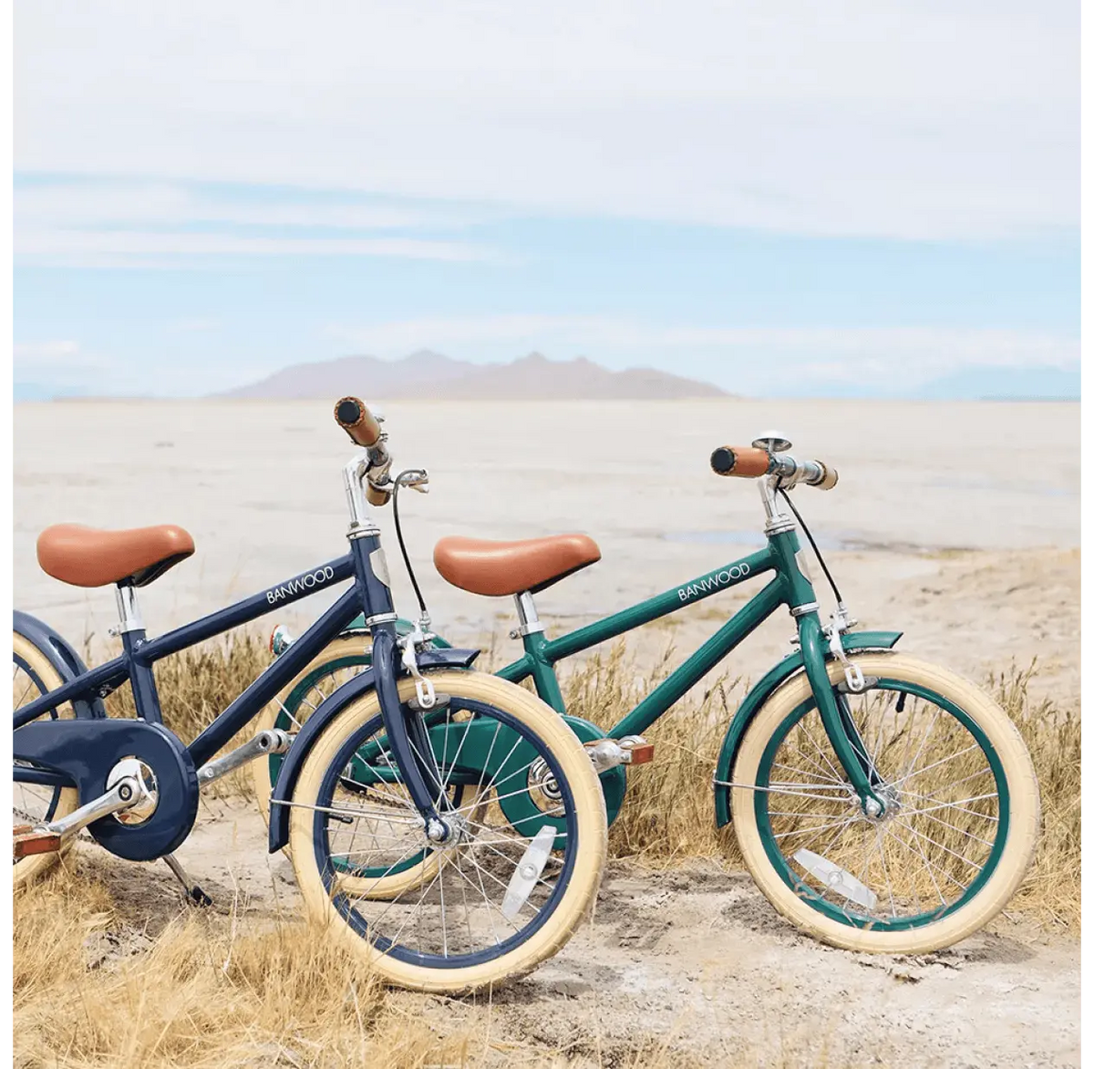 BANWOOD-Vélo Enfant 16" Vert Foncé-Les Petits