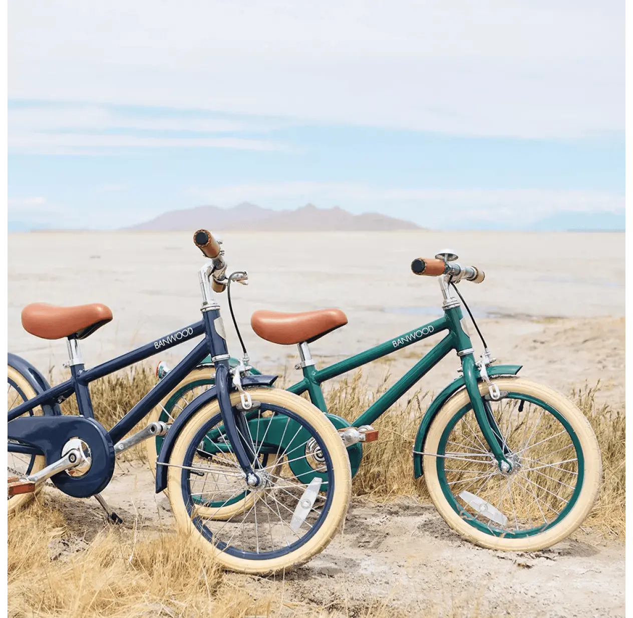 BANWOOD-Vélo Enfant 16" Vert Foncé-Les Petits