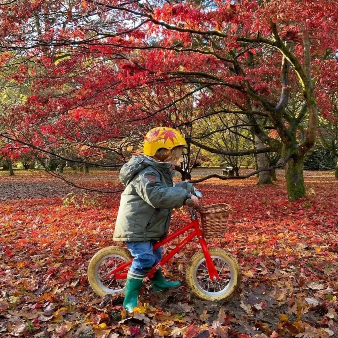 BOBBIN BIKES - Draisienne Moonbug 12" - Rouge