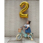 BOBBIN BIKES - Vélo Enfant Gingersnap 12" - Vert Pâle