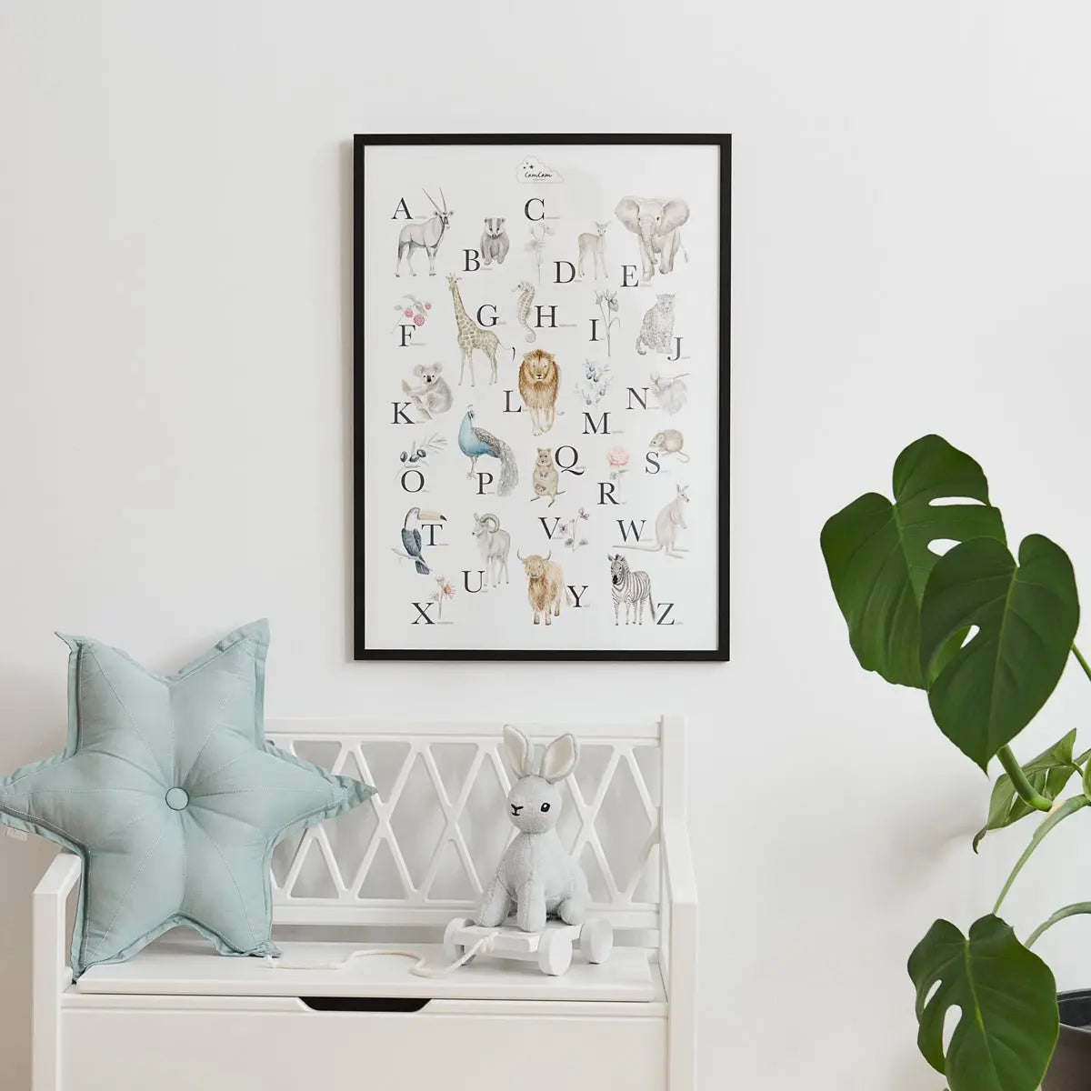 CAM CAM - Coussin Étoile - Pétrole