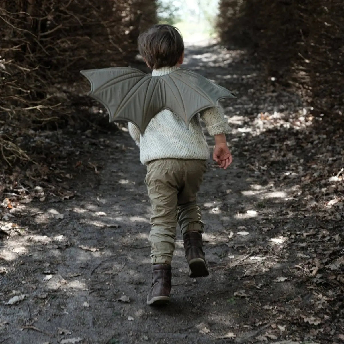 FABELAB - Ailes De Dragon