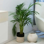 LORENA CANALS - Panier Dual Noir - Naturel