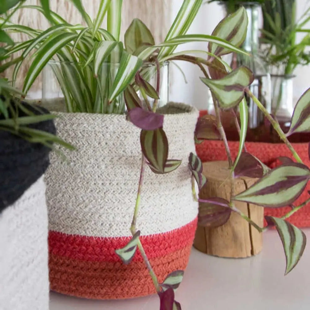 LORENA CANALS - Panier Mini Tricolore Naturel