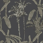 MUNKS & ME - Papier Peint Chambre Enfant à Motif Répété - Ezra Palm Print - Charbon